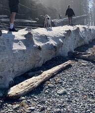 Book an Appointment with Jeddie Russell for Registered Nurse Adult Educator