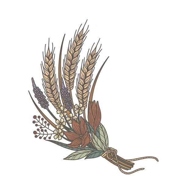 Prairieland Psychology