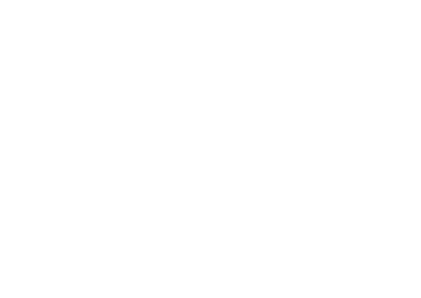 The Chiropractic Studio