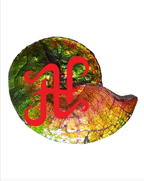 Ammolite & Health Ltd.