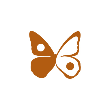 Elisa Peterson Somatic Therapy, Classes and Workshops