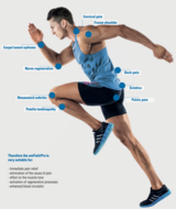 Book an Appointment with HeIT Services at VANCITY PHYSIO - Downtown Clinic